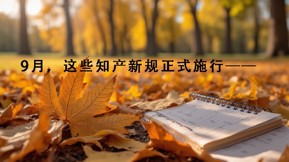 9月，这些知产新规正式施行——